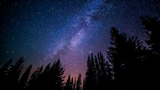 STARLIGHT